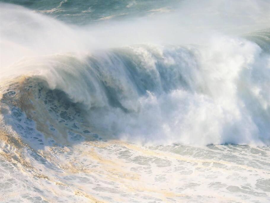 White Swell By Sitio Da Nazare 아파트 외부 사진